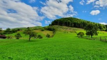 Teren de vanzare Ion Mihalache fost 1 Mai